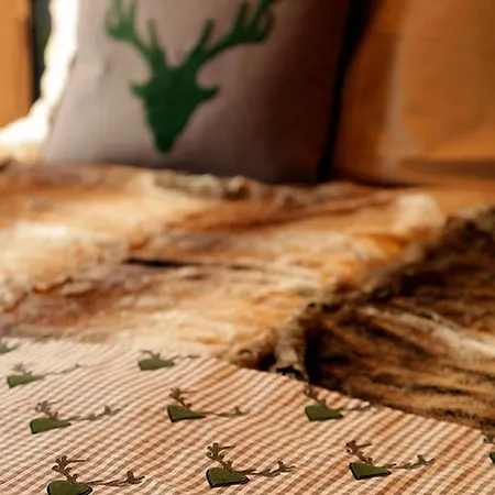 Hotel Amber Ski-in/out & 3*