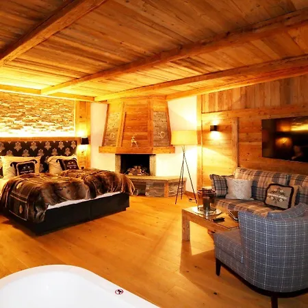 Amber Ski-in/out & サース フェー