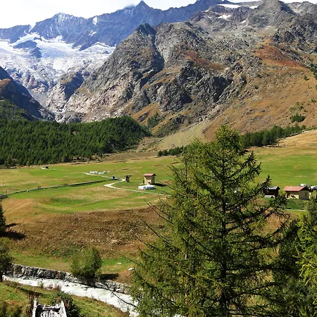 Amber Ski-in/out & Hotell