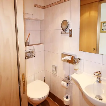 Amber Ski-in/out & サース フェー